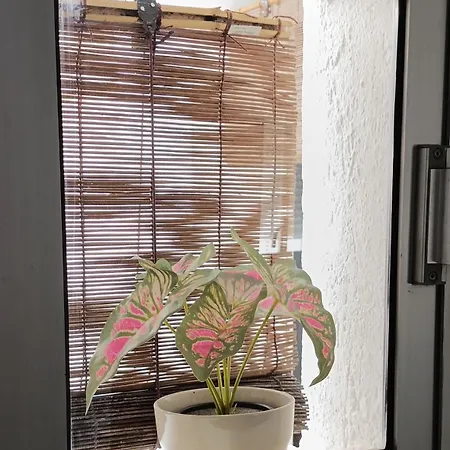 Apartment Turistico 