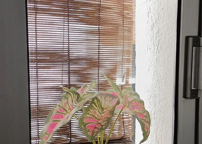 Appartement Turistico 